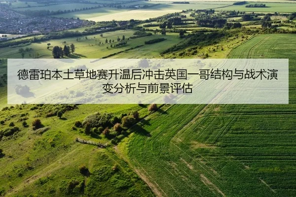 de-lei-po-ben-tu-cao-di-sai-sheng-wen-hou-chong-ji-ying-guo-yi-ge-jie-gou-yu-zhan-shu-yan-bian-fen-xi-yu-qian-jing-ping-2-328.jpg