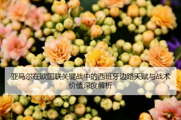 ya-ma-er-zai-ou-guo-lian-guan-jian-zhan-zhong-de-xi-ban-ya-bian-lu-tian-fu-yu-zhan-shu-jia-zhi-shen-du-jie-xi-2-309.jpg