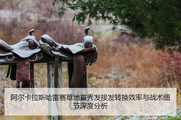 阿尔卡拉斯哈雷赛草地首秀发接发转换效率与战术细节深度分析
